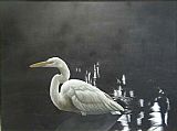 Egret Canvas Paintings - Egret